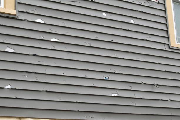 Best Siding for New Construction  in Moville, IA